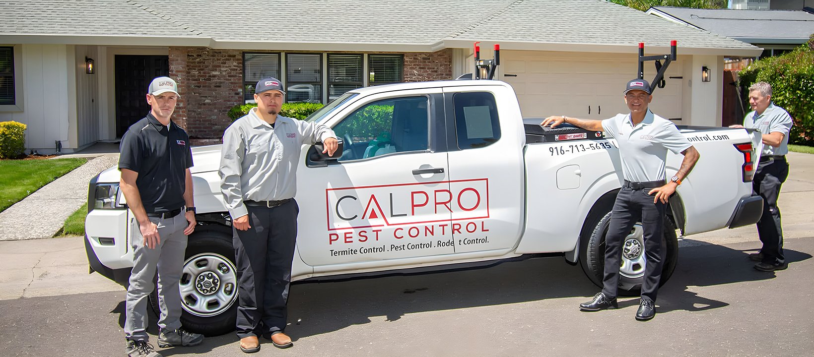 CalPro Pest Control