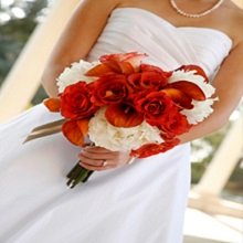 Pampered Lady Florist