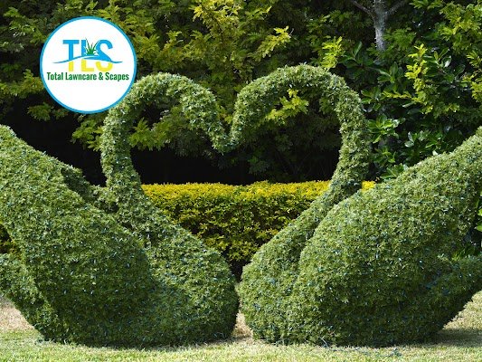 Total Lawncare &amp; Scapes LLC