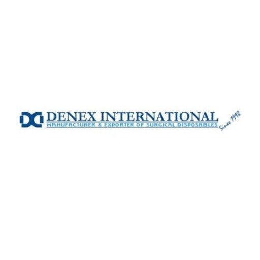 denex international logo