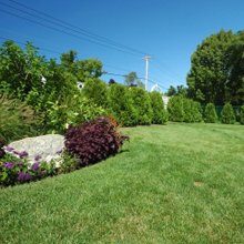 Swain Landscaping