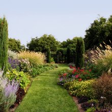 Swain Landscaping