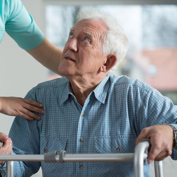 Excelsius Services Placement