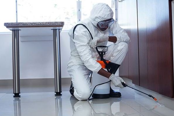 Karachi Fumigation Service