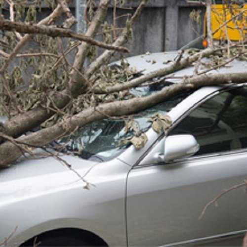 Shelter Insurance – Michael Bunch