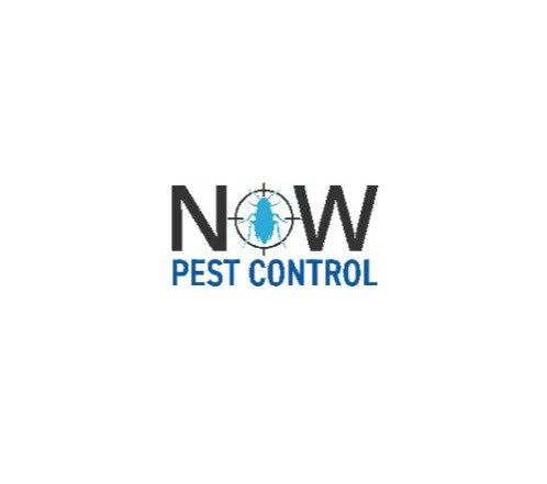 Now Pest Control