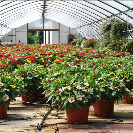 Michigan West Shore Nursery