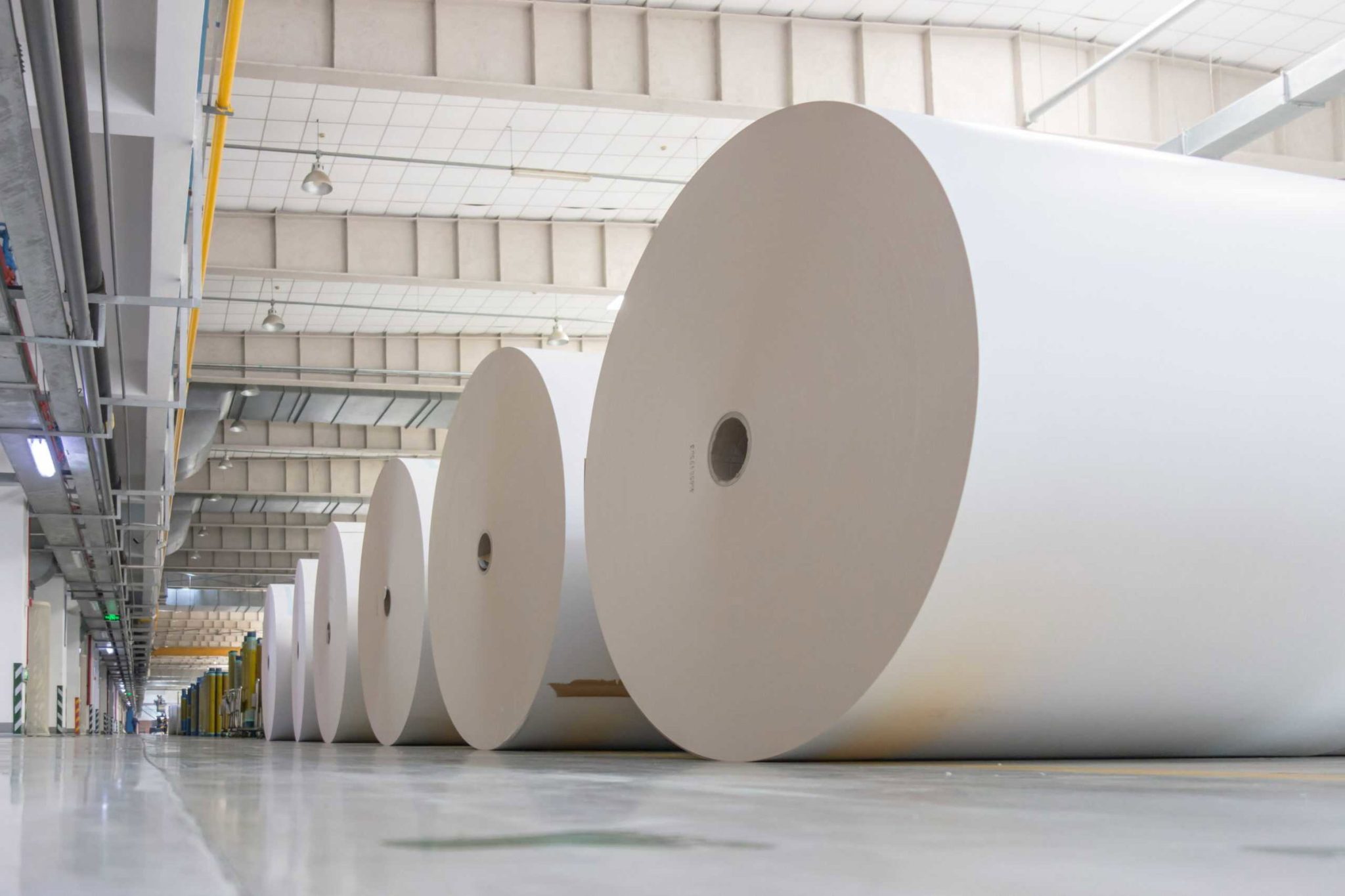 Soham Polymers Private Limited – Polymer Manufacturer in India