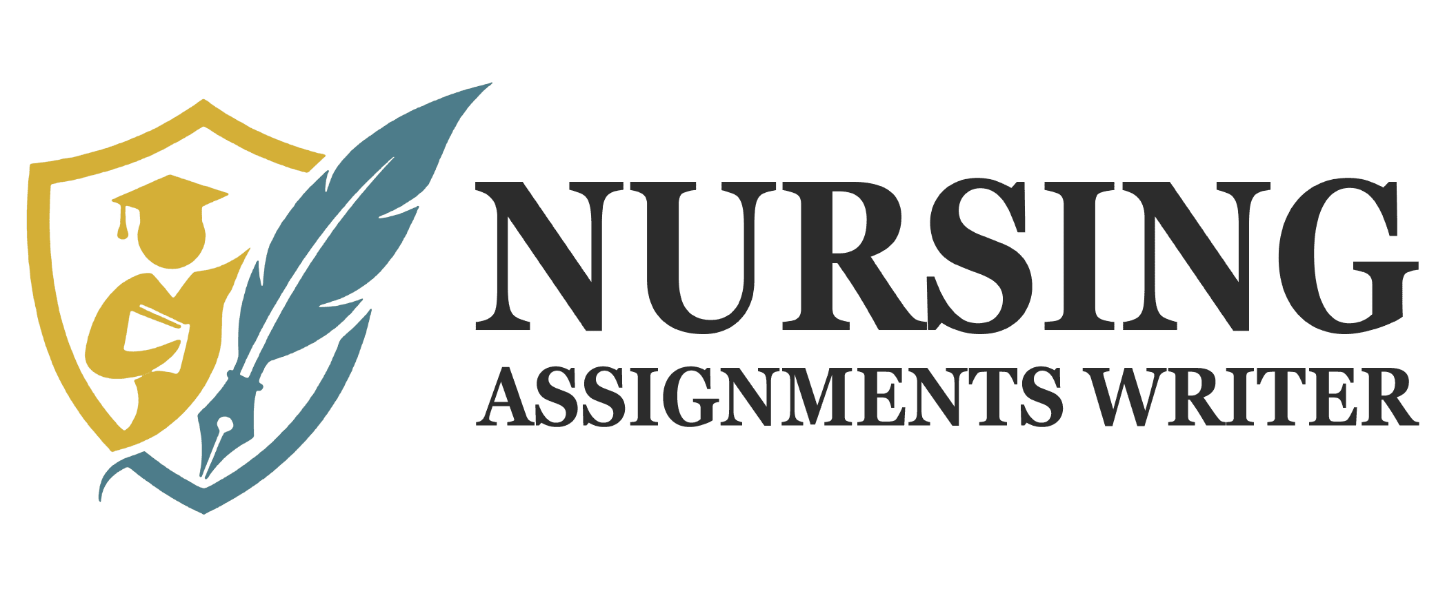 nursing assignments writer