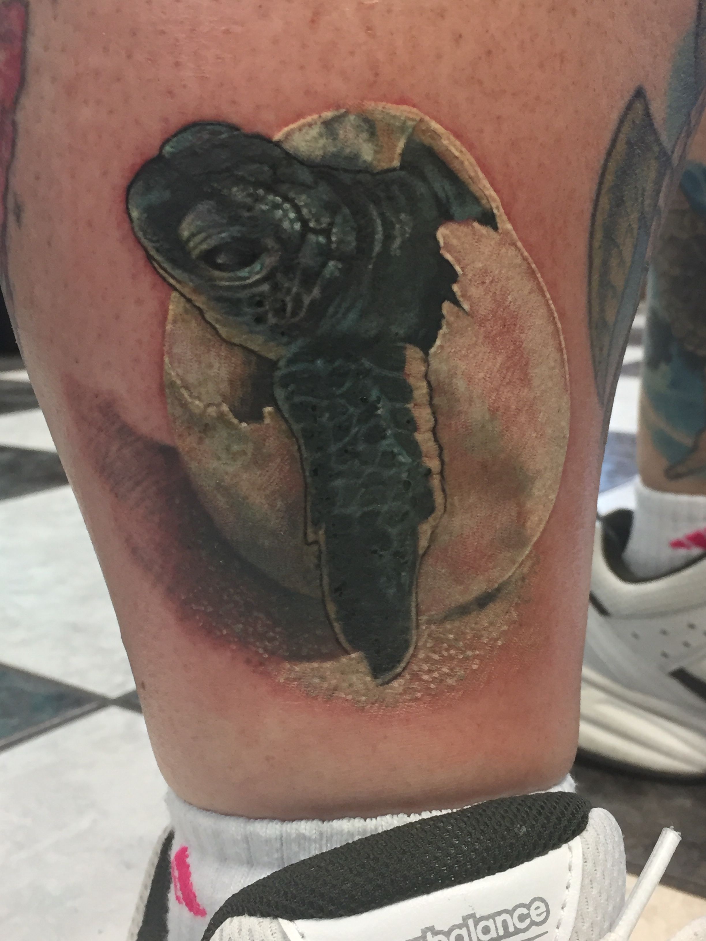 Argyle Tattoo