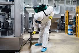 Abbotsford Mega Pest Control