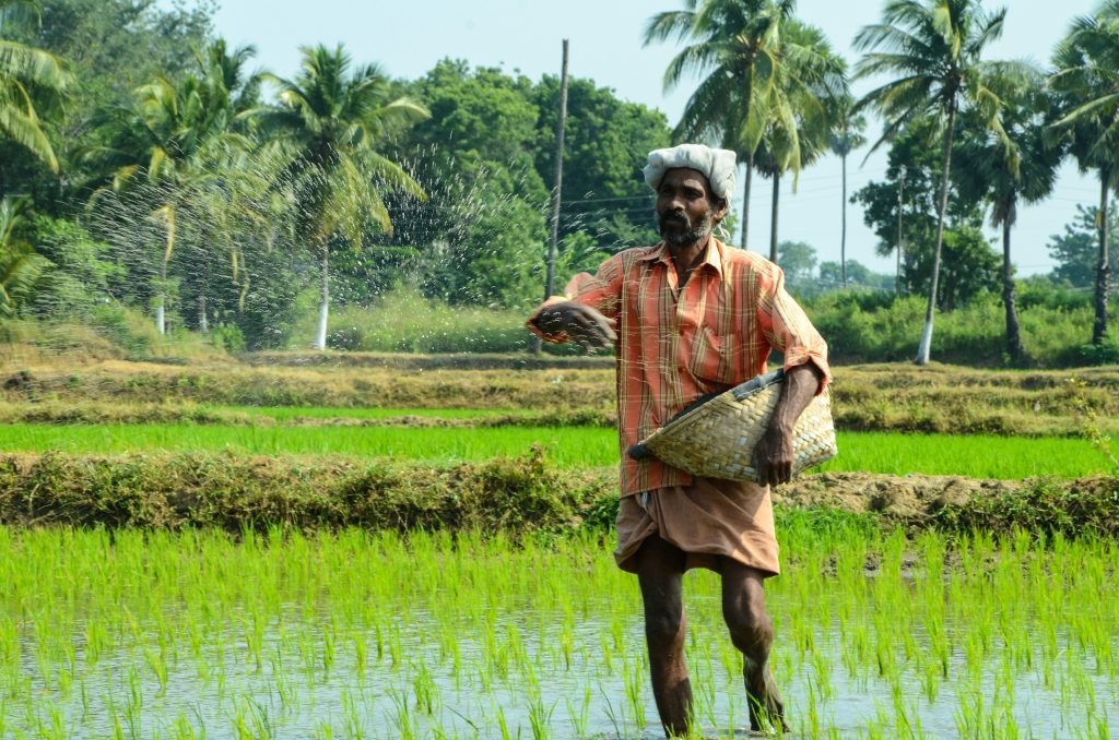 20 countries that export the most food